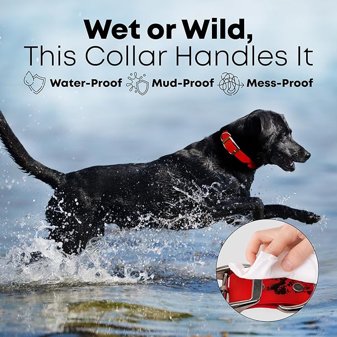 Regal Dog Products Medium Red Waterproof Dog Collar and Leash Set | Heavy Duty Double Buckle & D Ring - 5'ft Leash | Adjustable Biothane Dog Collar | Chew Resistant Waterproof Collar for Dogs