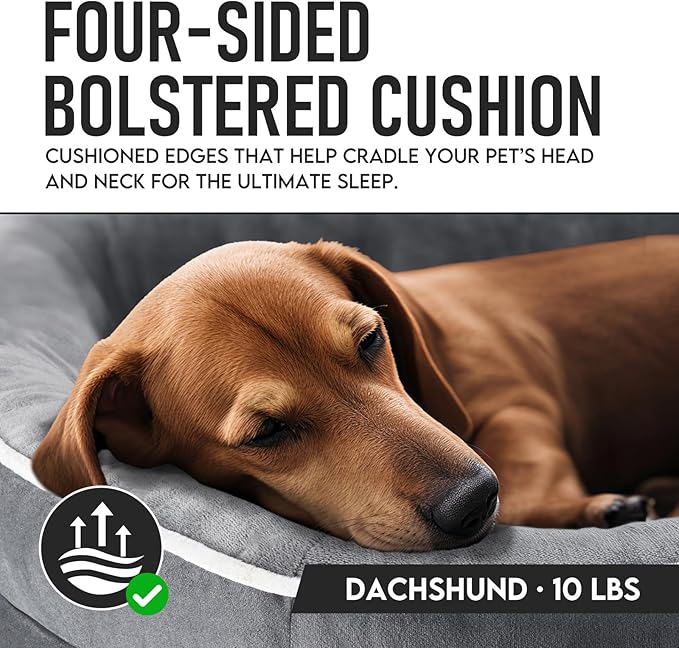 OhGeni Orthopedic Dog Couch Small Sized Pet Beds for Fathers Gifts with Comfort Foam Support, Soft Indestructible Fabric, Machine Washable Waterproof Removable Cover, 22-Inch (Gray)