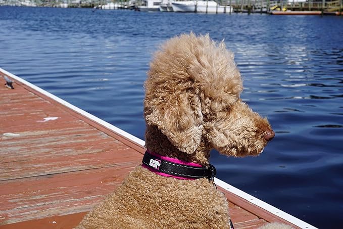 Black Rhino Dog Collars for Medium Dogs - Adjustable Reflective Heavy Duty Dog Collar with Ultra-Soft Neoprene Padding - Weatherproof, Durable, and Comfortable - Ideal for Active Dogs - Pink and Black