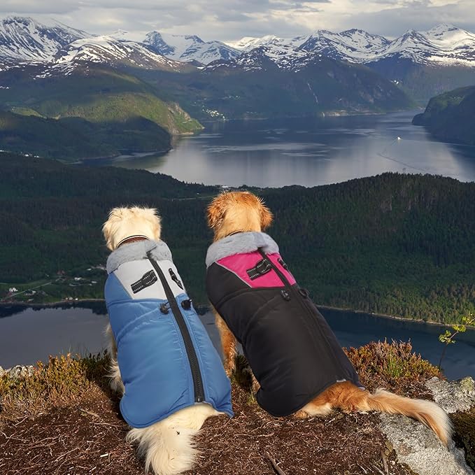 ROZKITCH Dog Jacket for Cold Weather, Dog Coat for Autumn Winter with Turtleneck, Pet Clothes with Adjustable Buckles, Soft Warm Pet Clothing with Reflective Strip for Medium Large Dogs Black 2XL