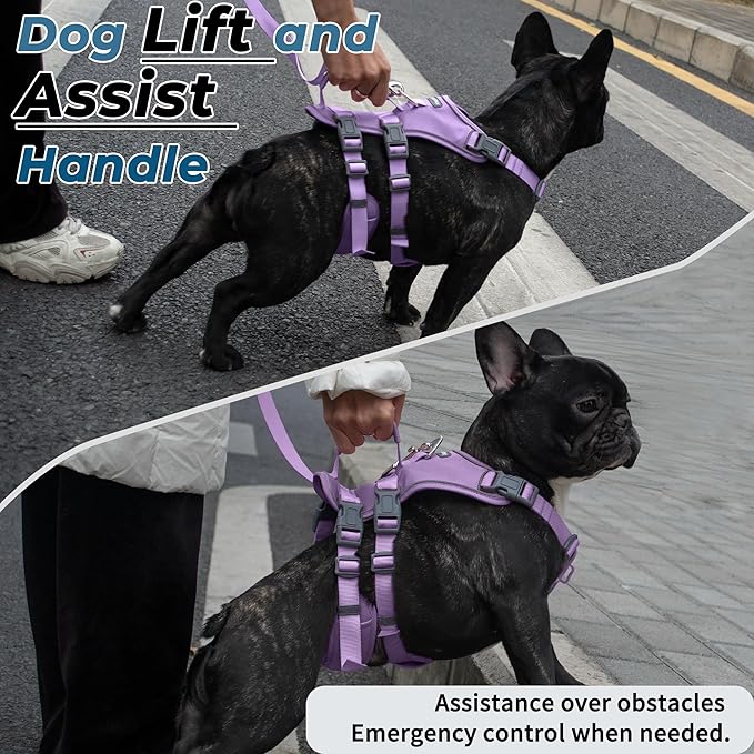 Escape Proof Dog Harness and Leash Set, Lightweight Dog Harness with Lift and Assist Handle, No Pull Reflective Pet Vest for Small Medium Dogs, Ideal for Puppy Walking and Training (Purple, M)