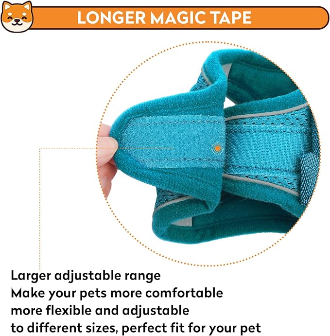 Dog Harness with Leash Set, No-Pull Step-in Reflective Pet Harness with 1 Leash Clips, Adjustable Soft Padded Easy Walk Dog Vest for Small Medium Large Dogs, Cats(Teal, XXXSmall)