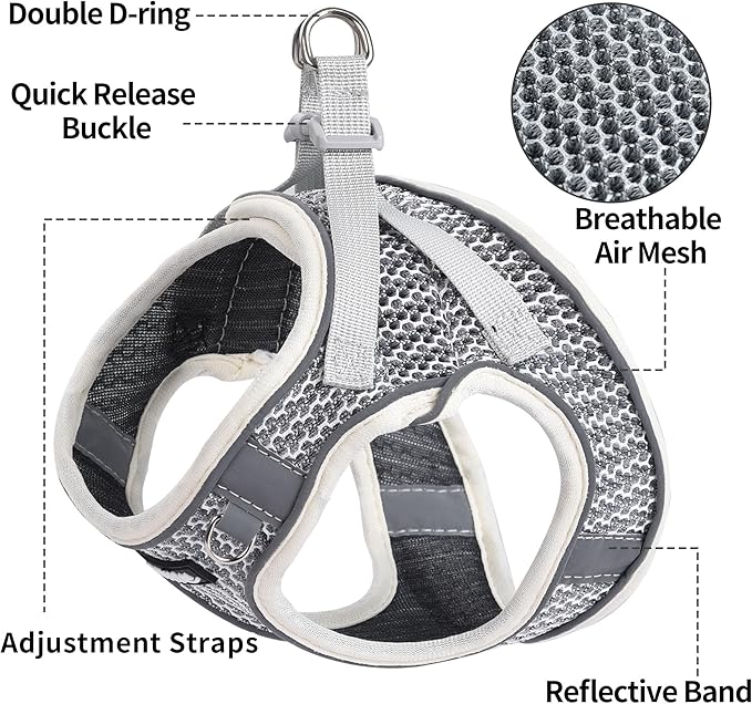 AIITLE Dog Harness with Leash Set - All Weather Breathable Mesh, Reflective Stripes, Adjustable Escape Proof Pet Outdoor Harnesses for Medium Dogs Beige M