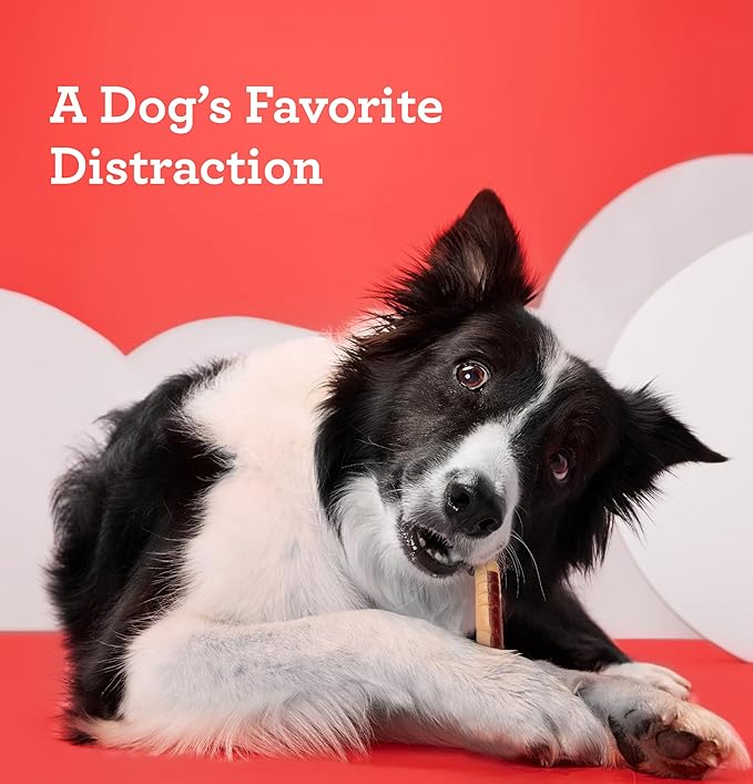 DreamBone Mini Chews With Real Chicken Chews for Dogs, 36 Count, These Rawhide-Free Chews are a Dog’s Favorite Distraction