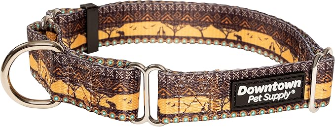 Downtown Pet Supply - Martingale Collar for Dogs - Dog Training Collar - Big, Wide & Thick Dog Collar - Escape-Proof, Weatherproof, Durable and Comfortable - Sahara - Small Dog Collar