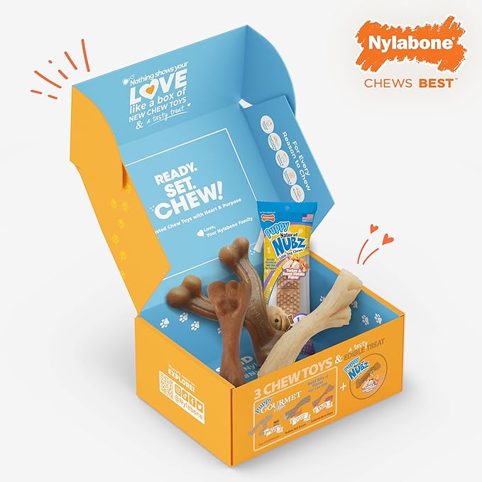Nylabone Puppy Gift Box, Includes 3 Strong Chew Toys and 1 Natural Dog Treat, Gifts for Puppies, Small - Up to 25 lbs, 4 Pack