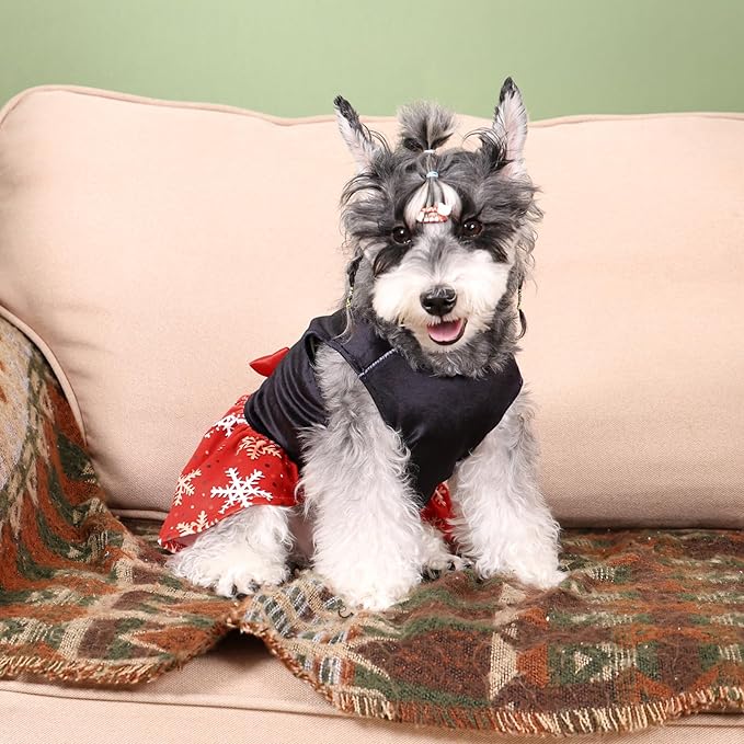 CuteBone Christmas Dog Dresses Velvet Holiday Small Dogs Clothes Onesie Pet Apparel Girl Puppy Skirt with Bow Hair Rope CVA54XXS-D