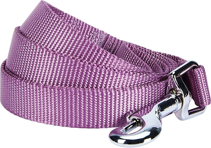 Blueberry Pet Essentials Durable Classic Dog Leash | Basic Nylon Dog Leash | 5ft. x 5/8" Small Dog Leash | Purple Dog Leash | Standard Dog Leashes & Lightweight Dog Leash for Training