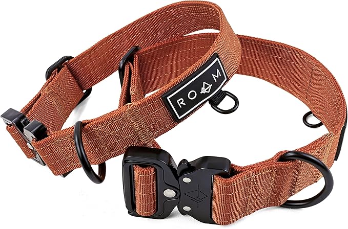 Made to ROAM Premium Dog Collar - Adjustable Heavy Duty Nylon Collar with Quick-Release Metal Buckle (Nevada Evening, Classic Size 2.5, Old Roam Logo)