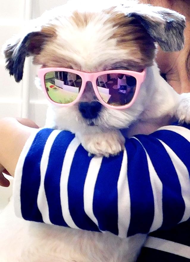 G014 Dog Cat Pet 80s Sunglasses Goggles for Small Breeds up to 15lbs (Pink-Pink Mirror)