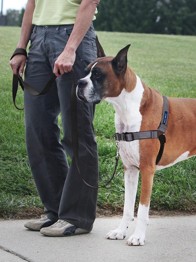 PetSafe® Deluxe Easy Walk® Dog Harness, No Pull Harness, Stop Pulling, Great for Walking and Training, Comfortable Padding, for Small Dogs- Steel/Black, Small