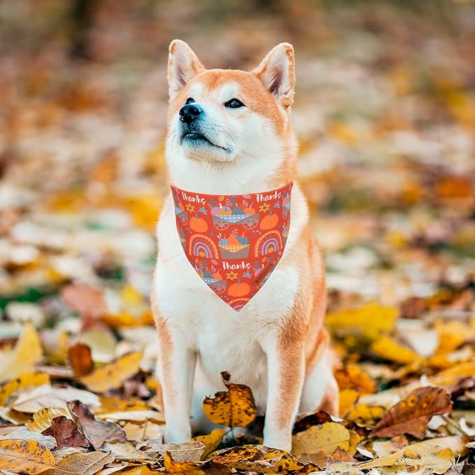 ADOGGYGO Thanksgiving Dog Bandana - Blue Orange Pumpkin Scarf, Adjustable Fit Fall Bandanas for Medium Large Dogs Pets (Large)