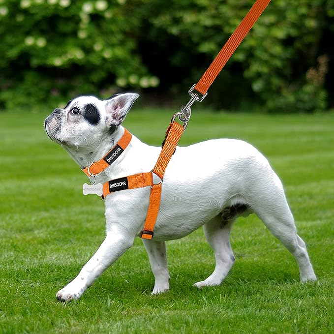 No Pull Dog Harness - Adjustable Step-in Harness & Leash Set for Small, Medium, Large Dogs - Escape Proof Soft Pet Harness for Walking, Training, Hiking, Outdoor Activities