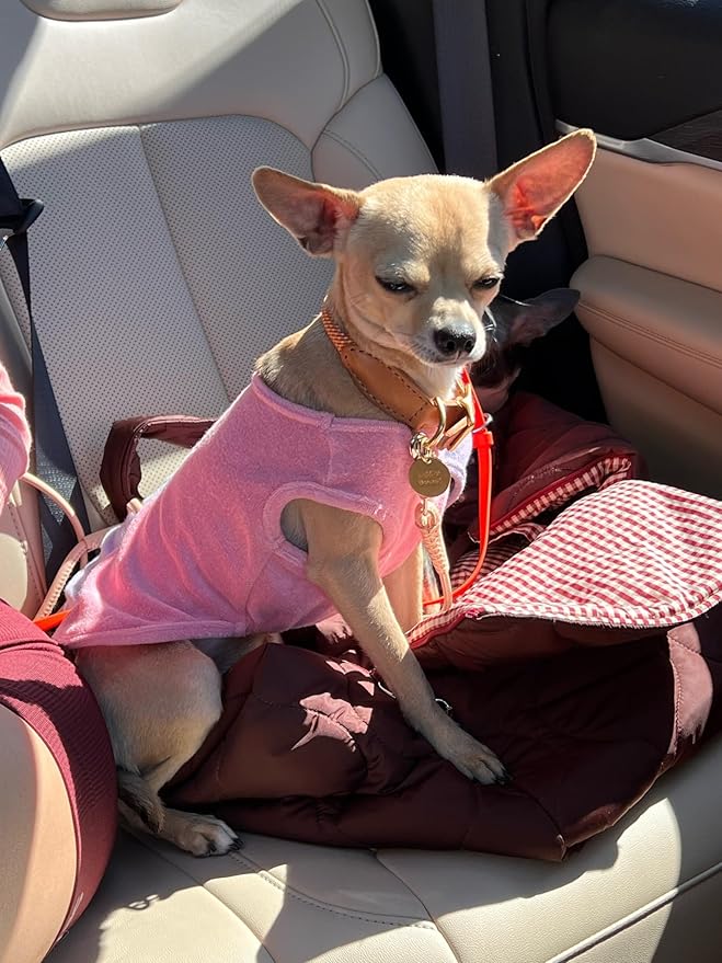 Little Beast Dog Clothes, Pet Clothes for Large, Medium and Small Dogs (Dog Shirts Come in Multiple Colors and Styles) - Size: XX-Small Dogs, Light Pink