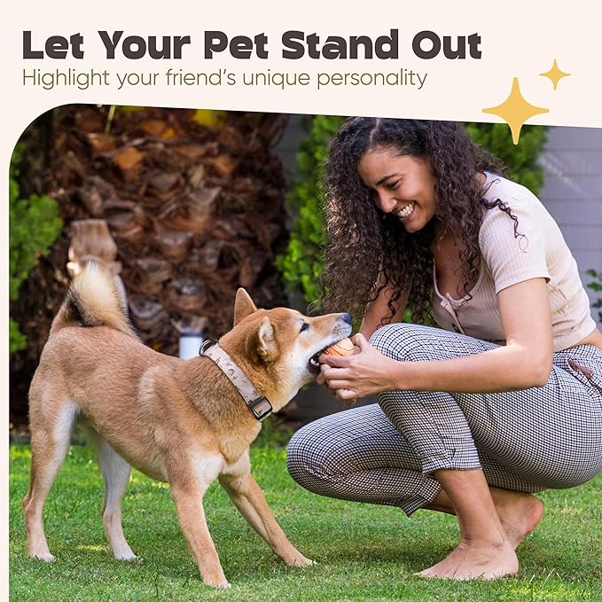 Dog Collar for Medium & Large Dogs - Flowers Cotton Padded Pattern on Long Lasting, Adjustable, Strong and Durable Collars - Choose from Stunning Patterns and Colors