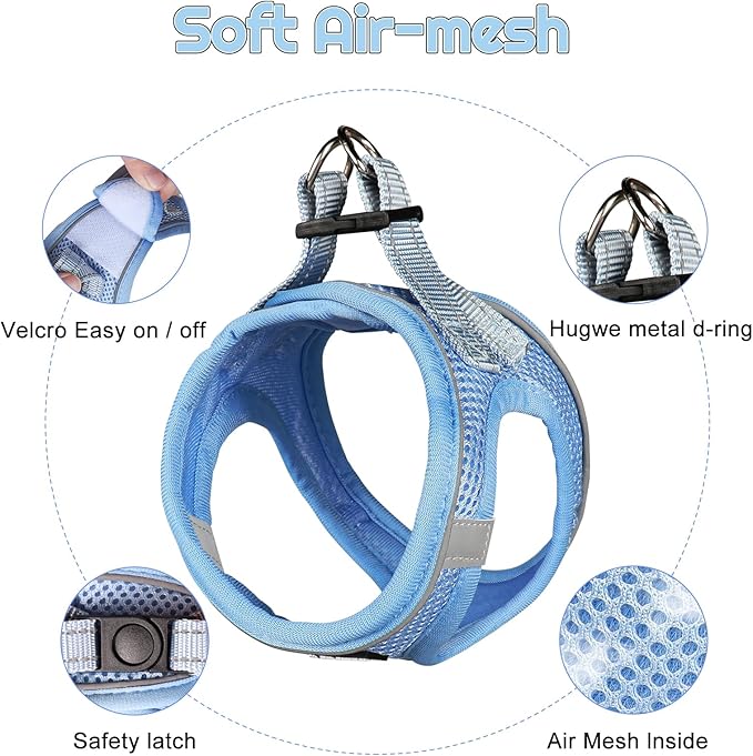 Dog Harness for Small Dogs and Leash Set, Honeycomb Grid, Reflective Lightweight Harness & Anti-Twist Pet Lead Multi Color, Size: XS-S-M. (M, Aqua Blue)
