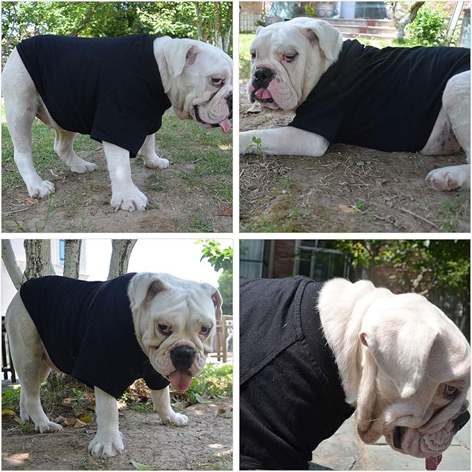 Lovelonglong Bulldog Clothes Dog Clothing Blank T-Shirt Tee Shirts for French Bulldog English Bulldog American Pit Bull Pugs 100% Cotton Skin Care Black B-XL