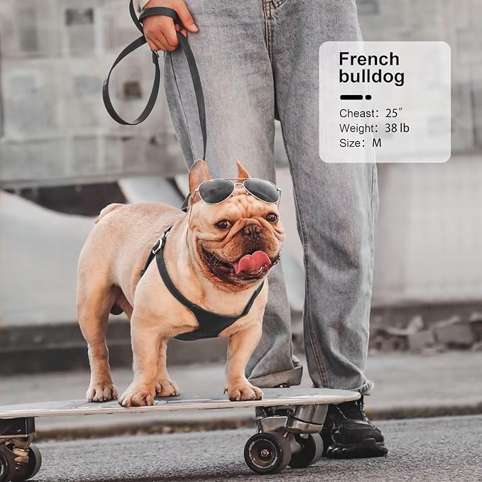 Didog Small Dog Harness and Leash Set, Soft & Lightweight Dog Vest Harness, Adjustable Leather Dog Harness for Small Medium Dogs, Black, M