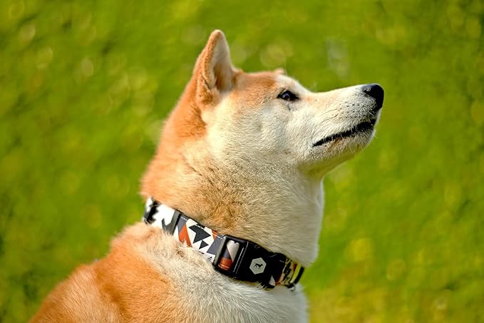 Tuff Pupper Premium Adjustable Dog Collar for Medium Boy & Girl Dogs, Stylish Pattern Collars Designed in USA, Quick Release Buckle, NativePath Print, Medium (1 Inch Wide x 13-18 Inch Neck)
