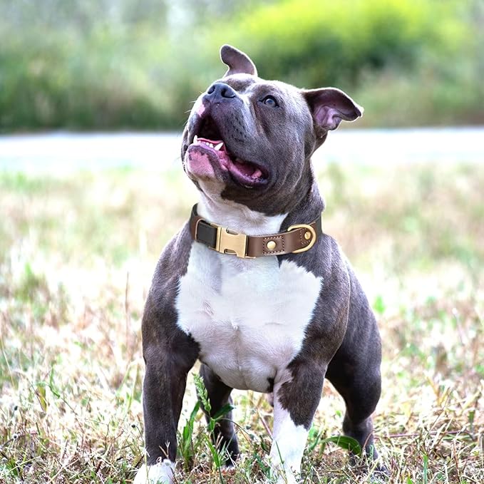 Didog Soft Padded Leather Dog Collar for Large Dogs, Classic Heavy Duty Dog Collars Adjustable with Quick Release Metal Buckle,Black,L Neck 15-23"