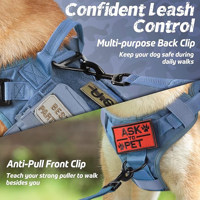 rabbitgoo Tactical Dog Harness for Small, Heavy Duty Pet Harness with Handle, No-Pull Service Vest Small Breed, Adjustable Military Dog Vest for Training Hunting Walking, Blue, S