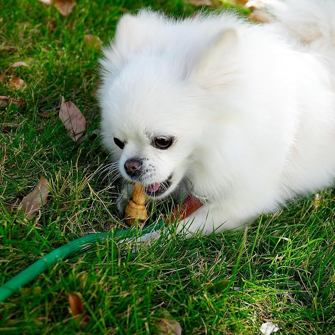 MON2SUN Dog Rawhide Knot Bones Small Rawhide Bones Mini Chews Chicken Flavour 2.5 Inch 100 Count for Puppy and Small Dogs