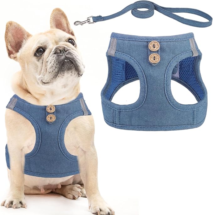 PUPTECK Dog Harness and Leash Set for Small Medium Dogs No Pull Step-in Soft Mesh Puppy Cat Vest Harnesses Reflective at Night, Denim Steelblue M