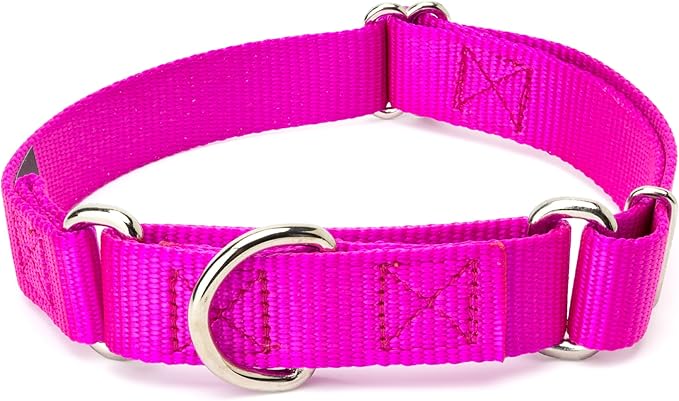 Country Brook Petz Martingale Dog Collar - Heavy-Duty Training Collar with No Buckle - Service Dog Collar for All Pups - Vibrant, Colorful Collection (Fuchshia, 5/8 Inch, Extra Small)