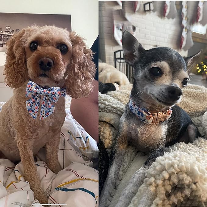 Unique style paws Dog Collar with Tie Adjustable Blue Bowtie Puppy Collars for Small Medium Large Dogs and Cats-XL