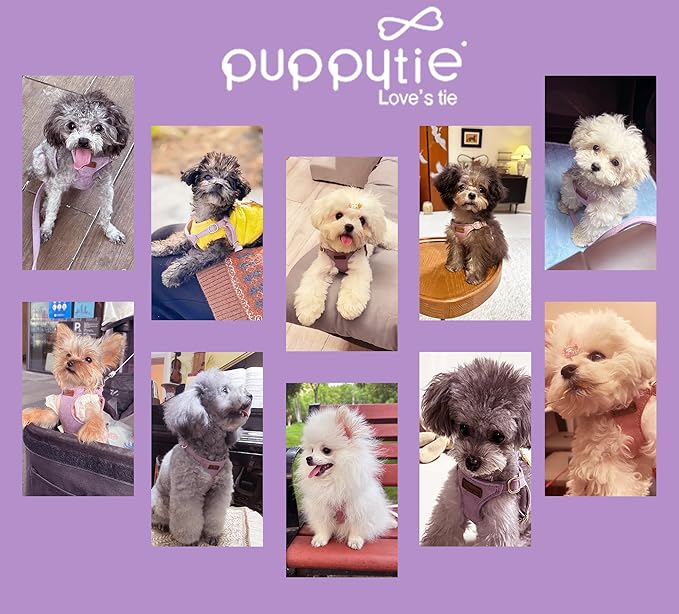 Puppytie No Pull XXS Puppy Harness with Multifunction Dog Leash,Soft Adjustable No Choke Escape Proof Pet Harness Vest,Light Purple,XXS