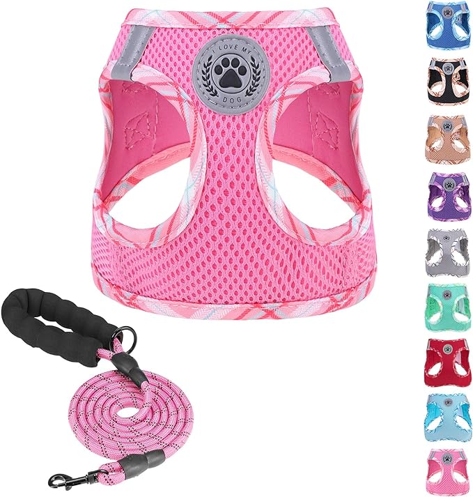 BEAUTYZOO Dog Harness and Leash Set for Small Medium Dogs,No Pull Step-in Harness for Puppy S M Sized Dogs and Cats,Air Mesh Adjustable Breathable Soft No Chock Escape Proof Vest Harnesses,Pink XL