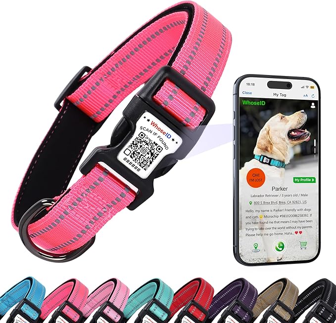 Dog Collar with QR Code, Reflective Dog Collar, Soft Neoprene Padded & Safety Locking Buckle Adjustable Pet Collar (Rose, Medium)