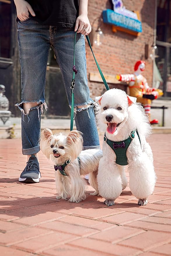 Puppytie No Pull Small Dog Harness with Multifunction Dog Leash,Lightweight Soft Adjustable No Choke Escape Proof Pet Harness Vest Pet Harness Vest,Plaid Blue,S