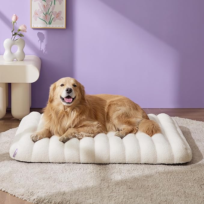 Lesure Cute Orthopedic Dog Bed for Extra Large Dogs, XL Waterproof Chic Flat Pet Beds with Removable Washable Cover, Fuzzy Thick Egg Crate Foam Pet Mat for Indoor Use (44" x 32", Cream)