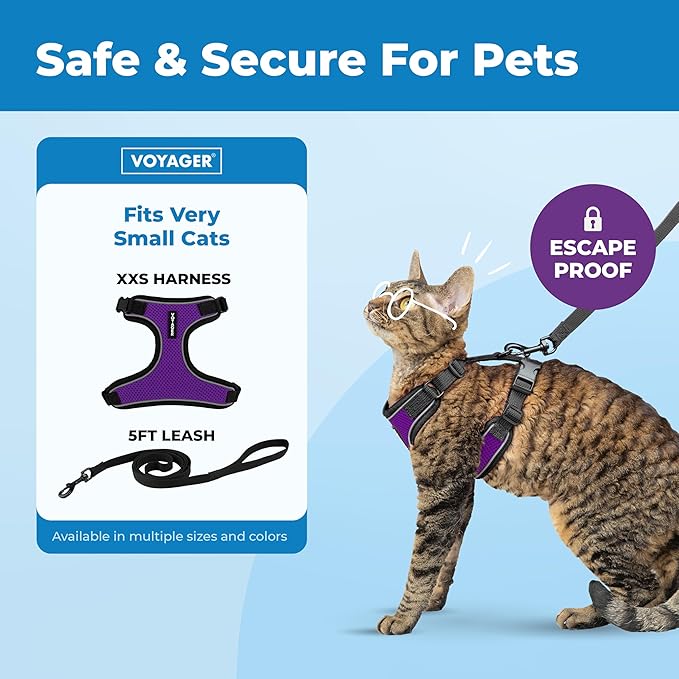 Voyager Escape Proof Cat Harness and Leash set with Reflective Stitching, Neoprene Handle 5ft - Supports Small, Medium and Large Cats, Kittens for walking by Best Pet Supplies - Black Trim-Purple, XXS