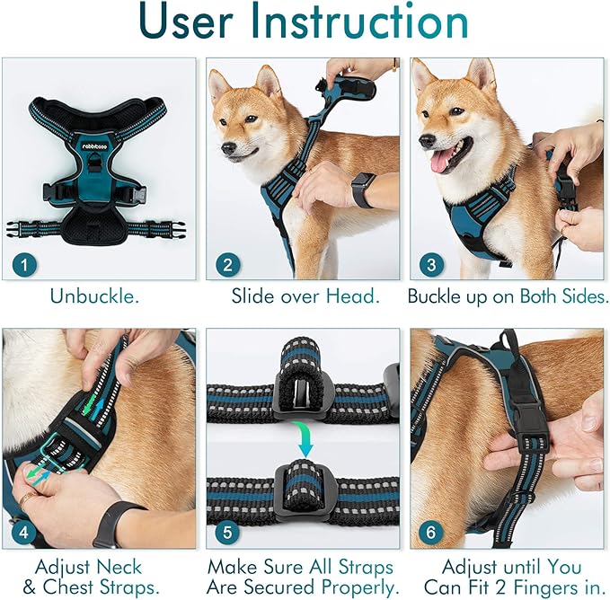 rabbitgoo Dog Harness No Pull with 2 Leash Clips, Adjustable Soft Padded, Reflective Oxford No Choke Pet Vest with Easy Control Handle for Large Dogs, Blue Coral, L