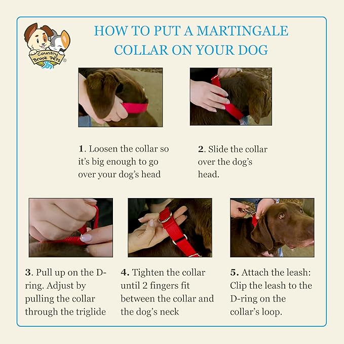 Country Brook Petz Martingale Dog Collar - Heavy-Duty Training Collar with No Buckle - Service Dog Collar for All Pups - Vibrant, Colorful Collection (Pink, 3/8 Inch, 3XS)