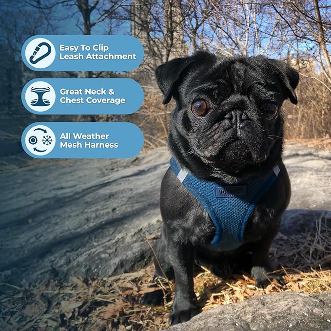 Voyager Step-in Air All Weather Mesh Harness and Reflective Dog 5 ft Leash Combo with Neoprene Handle, for Small, Medium and Large Breed Puppies by Best Pet Supplies - Set (Blue), XL