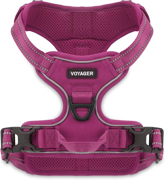 No Pull Dog Harness for Large Dogs, Dual Leash Attachments, Adjustable Soft but Strong Pet Harness with 3M Reflective Technology, Fuchsia Nylon, XS (Chest: 13-16")