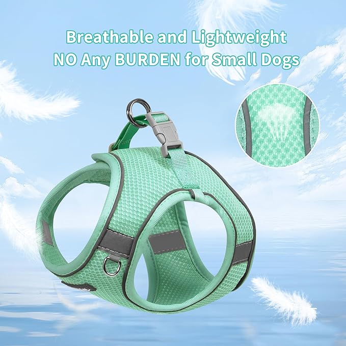 AIITLE Dog Harness and Leash Set, No Pull Step in Puppy Harness with Super Breathable Mesh, Reflective Puppy Essentials for Outdoor Walking, Training for Small Dogs, Cats Turquoise XS