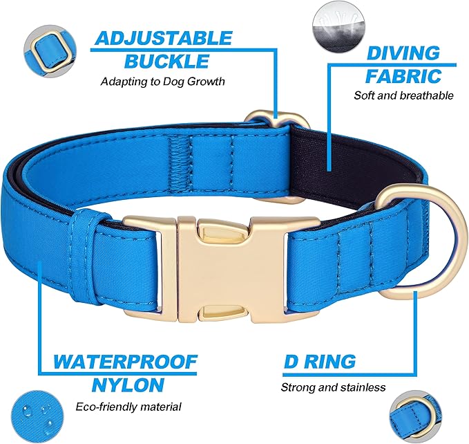 Didog Soft Padded Dog Collar for Large Dogs, Waterproof and Durable Pet Collar with Quick Release Buckle, Light and Breathable for Daily Walking,Blue,L(Neck15-23)