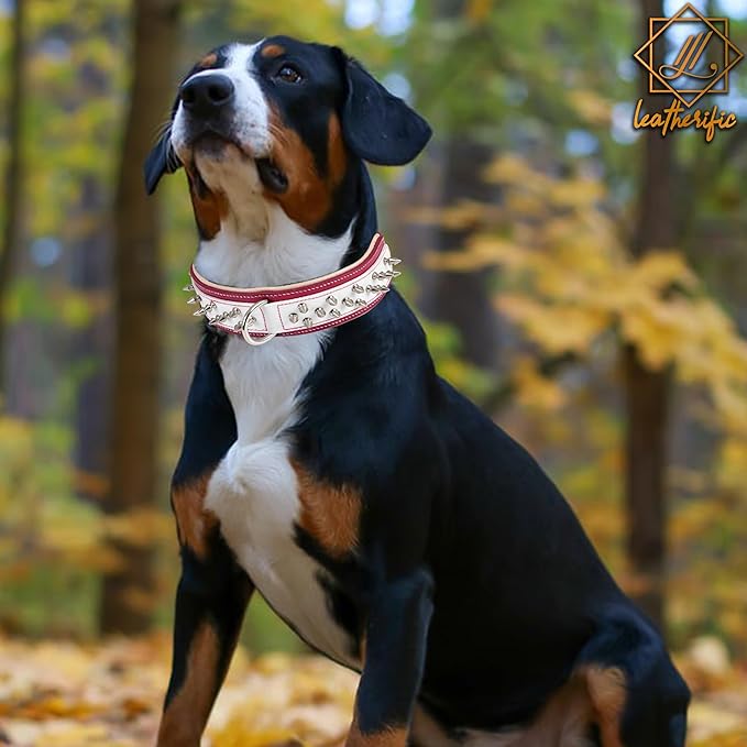 Genuine Leather Dog Collar by Leatherific, Premium Bridle Leather, Heavy Duty, Padded, Strong, Screwed Spikes, Medium, Large, Extra Large Breeds, 2" Wide (Magenta, Neck Size 22"-26")