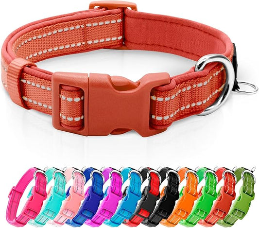 azuza Reflective Dog Collar, Soft Neoprene Padded Pet Collar with ID Tag Ring, Adjustable for Puppy and Small Dogs,Rust Red,XS