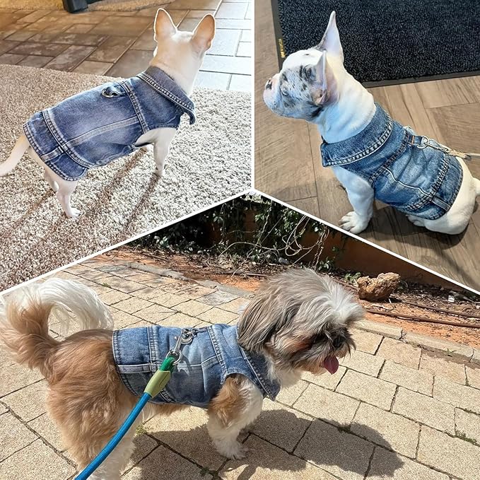 Dog Jeans Jacket Cool Blue Denim Coat for Small Medium Girl Boy Dogs Puppy Clothes Comfort Lapel Harness Vest with D-Ring for Leash