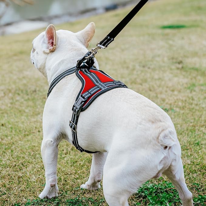 PUPTECK Dog Harness and Leash Set for Small Medium Sized Dogs, No Pull Dog Harness for Walking Training, Adjustable Reflective Puppy French Bulldog Frenchie Harness Soft Padded Vest, Red, S