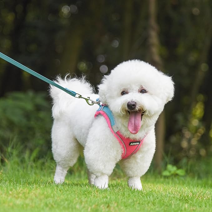 AIITLE Comfortable Dog Harness and Leash Set for Walking - Spring Step in Vest Harness,Reflective Bands, Adjustable No Pull Puppy Essentials, for Small Dogs and House Cats Hot Pink XS