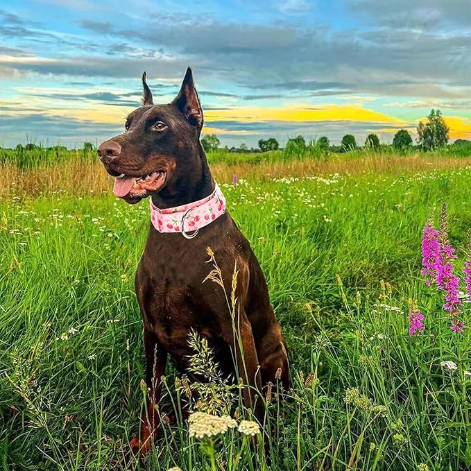 Martingale Dog Collar 1.5 Inch Wide - Pink Cherry Blossom Adjustable Nylon No-Pull Training Collar for Large Dogs, Secure Design for Walking, Hunting & Outdoor Use (Large)