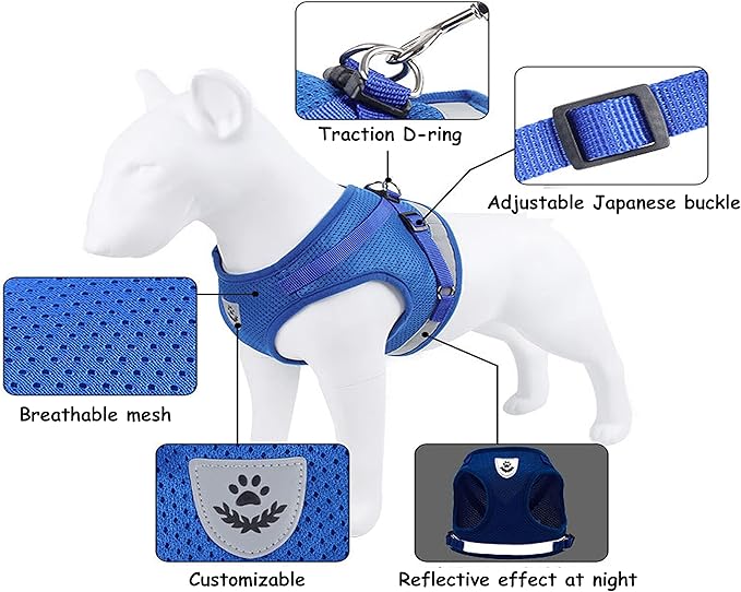 Step in Dog Harness and Leash Set,Reflective Adjustable Soft Mesh Breathable Pet Vest Dog Harnesses Set, No Chock No Pull Padded Puppy Harnesses for Small Dogs and Cats (Blue, X-Small)
