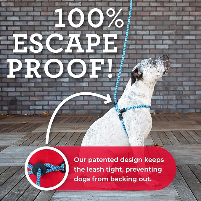 Harness Lead No Pull Dog Harness and Leash Set, Anti Pull Dog Harness for All Breeds and Sizes, One-Piece Cushioned Rope Design Safely Prevents Escaping and Pulling (Medium/Large, Red/Reflective)