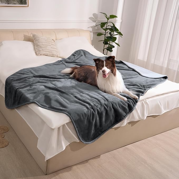 gogobunny Waterproof Bed Blanket, Reversible Sherpa Fleece Throw Blanket for Dog Puppy Cat, Furniture Cover Protects Bed Couch Sofa from Liquid Pee and Pet Fur (Dark Grey, 60x80 inches)
